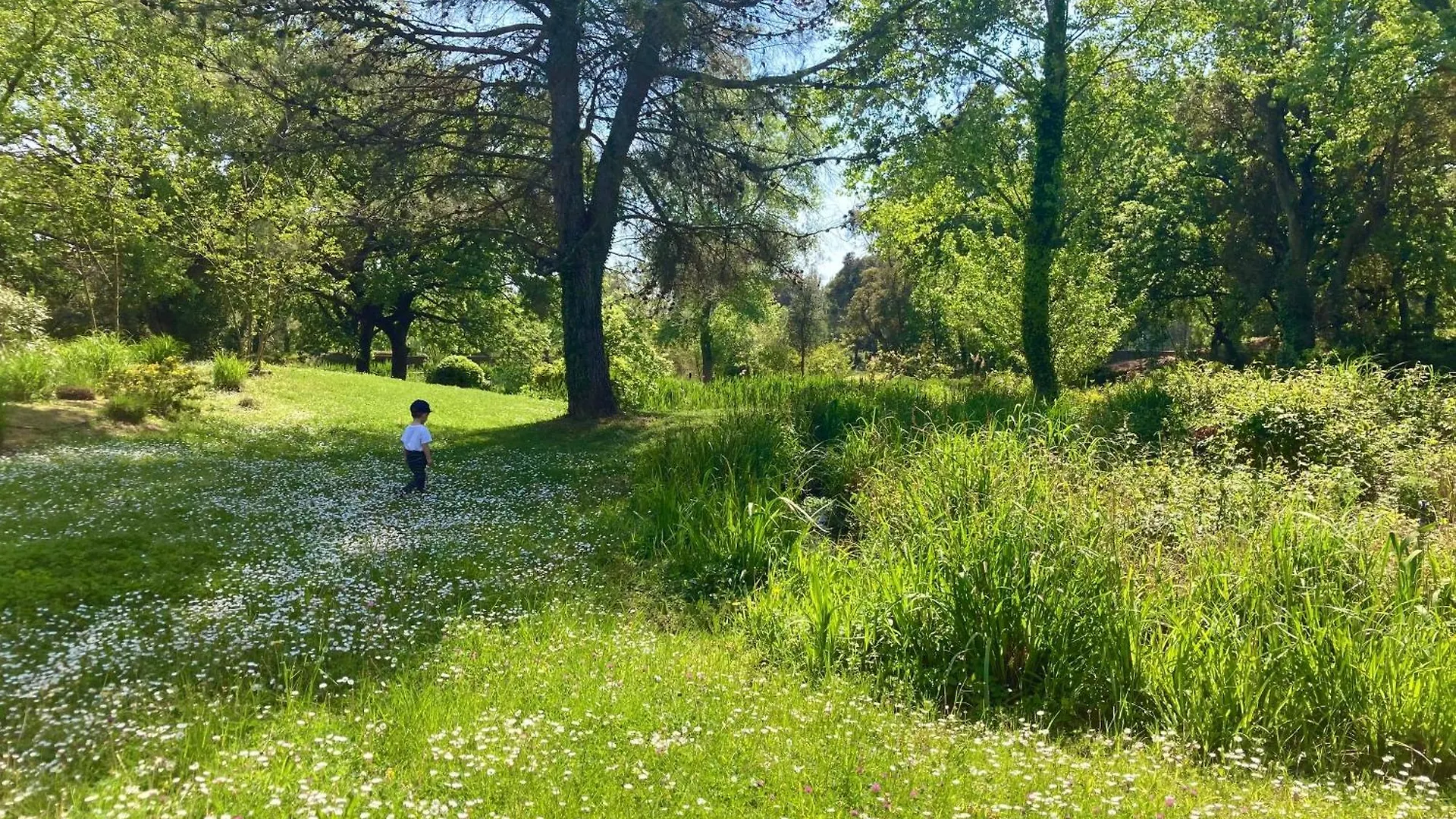 גרימו Les Restanques Vue Mer Bastide Rez Jardin 3021 דירה