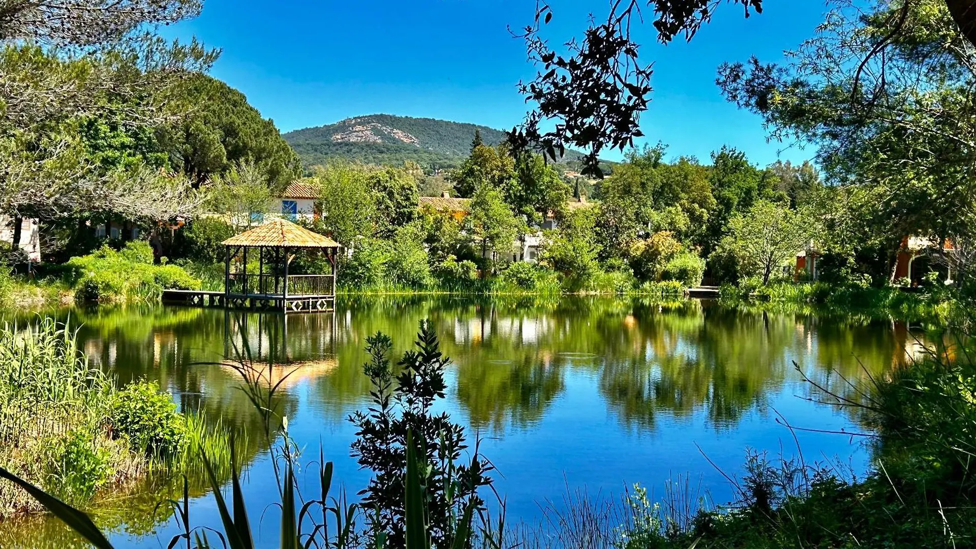 Les Restanques Vue Mer Bastide Rez Jardin 3021 Grimaud Apartment