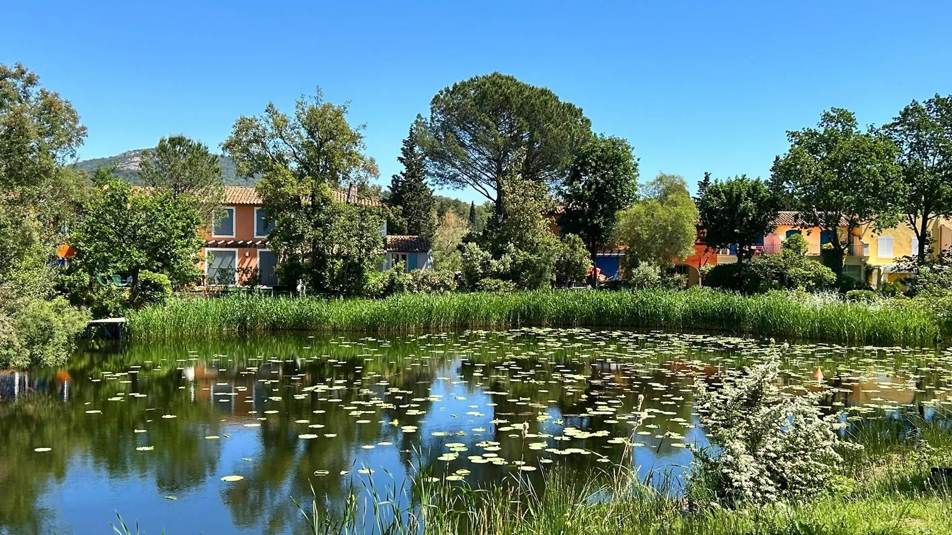 Les Restanques Vue Mer Bastide Rez Jardin 3021 Grimaud